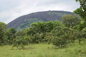 Niangbo